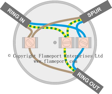 wire junction box with spur|ring junction box spur.